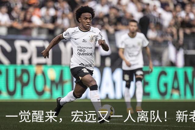 一觉醒来，宏远又一人离队！新老总杀伐果断，徐杰深夜发声，杜锋爱将被退货