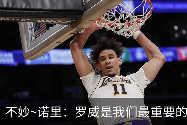 不妙~诺里：罗威是我们最重要的拼图 他和克林根能提供48分钟护筐